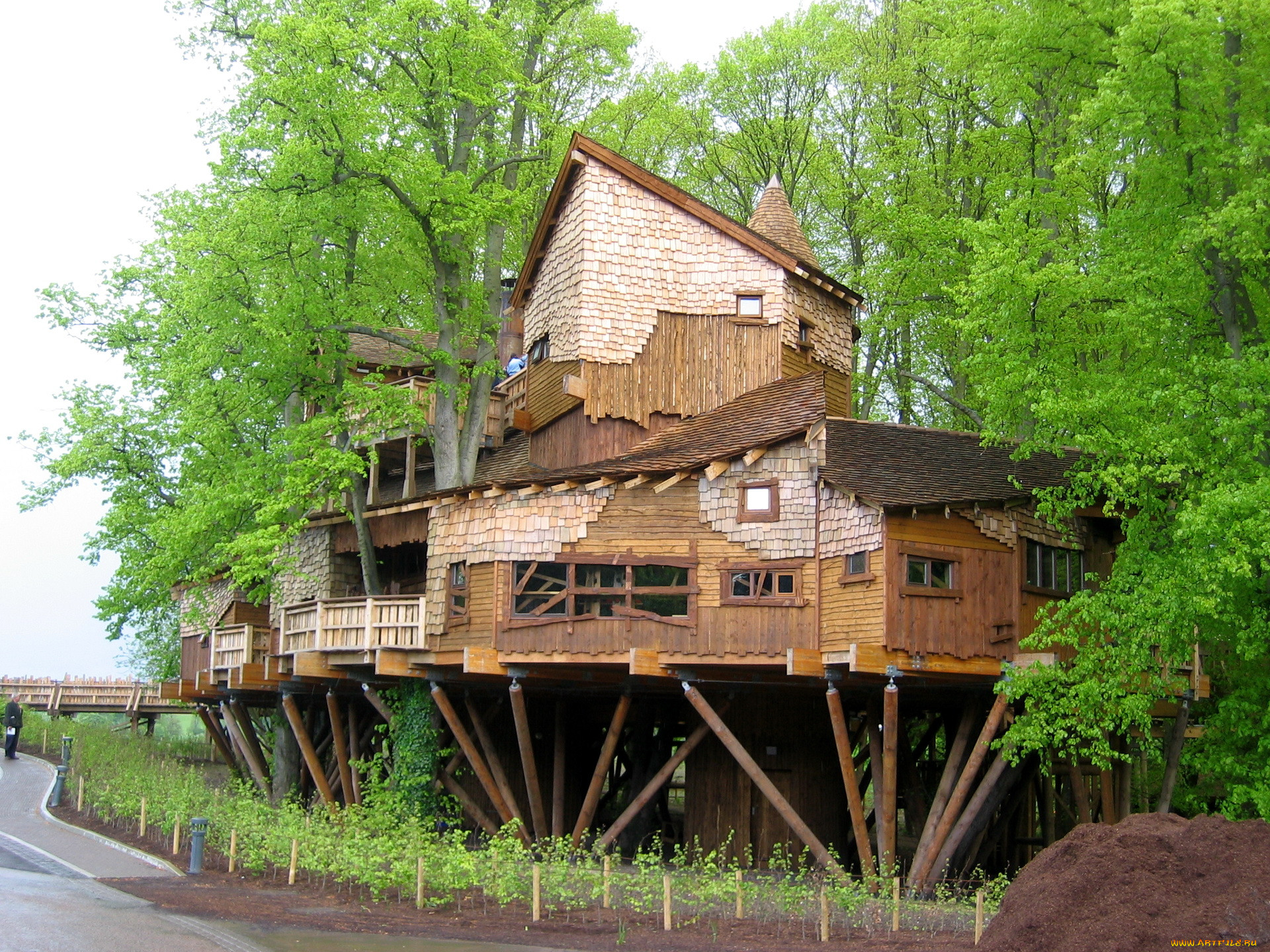 , , , alnwick, garden, tree, house, 